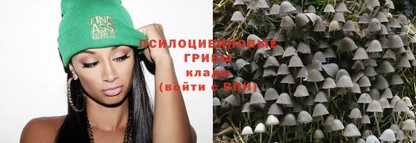 ешки Абаза
