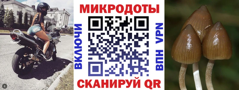 наркошоп  Абинск  Псилоцибиновые грибы GOLDEN TEACHER 